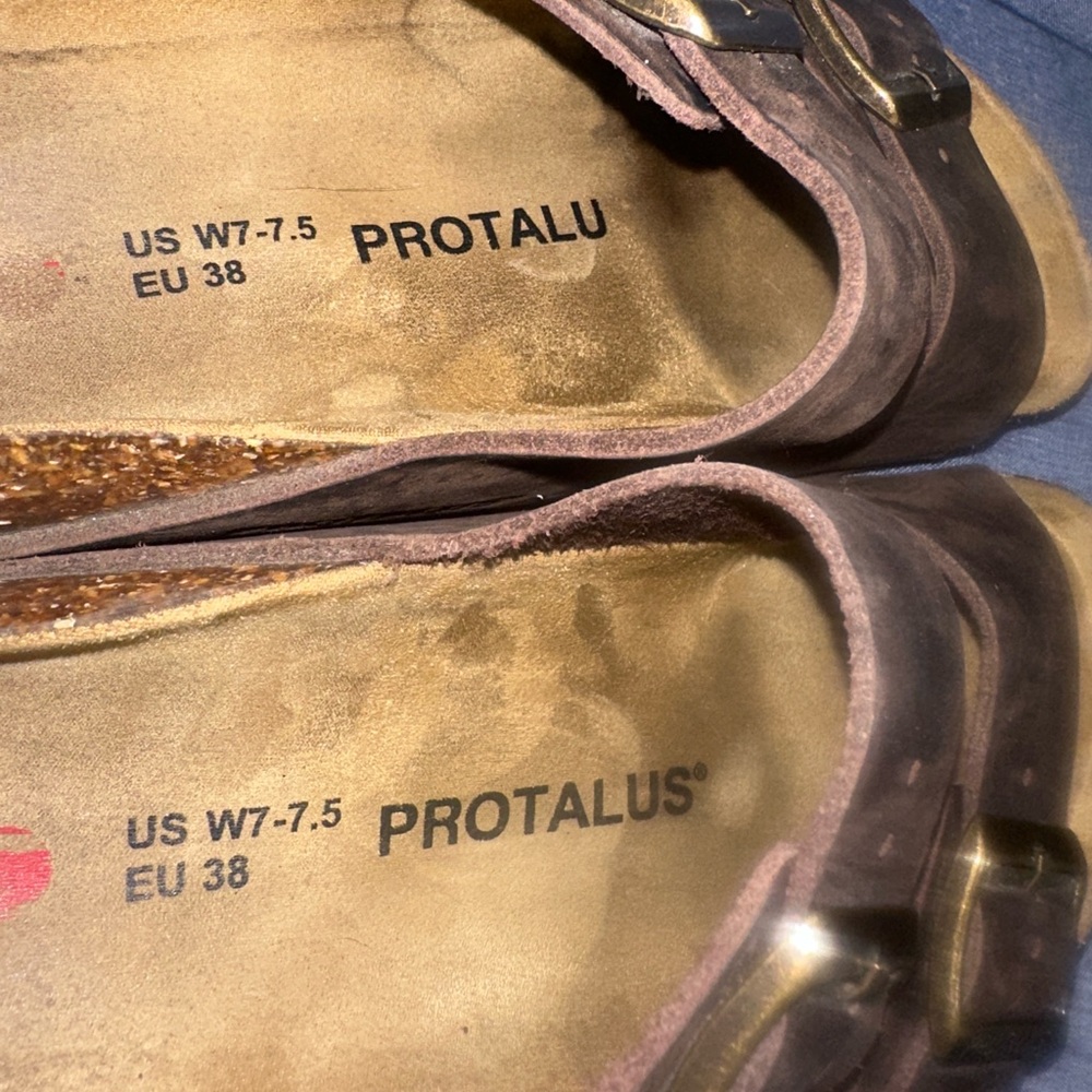 Portals - Picture 9 of 11